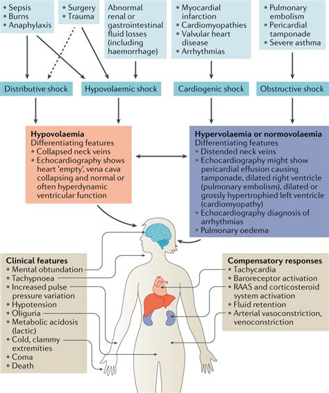 Causes Classification And Compensatory Responses To Grepmed