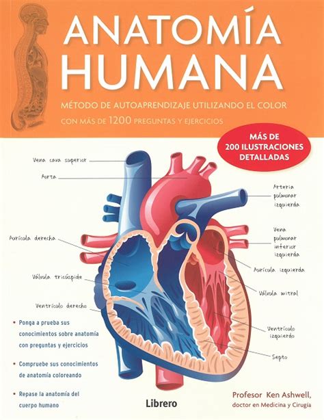 Alfaomega Anatomia Humana Corazón V1 Ashwell Prof Ken Item