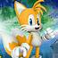The Real Tails Fox  YouTube
