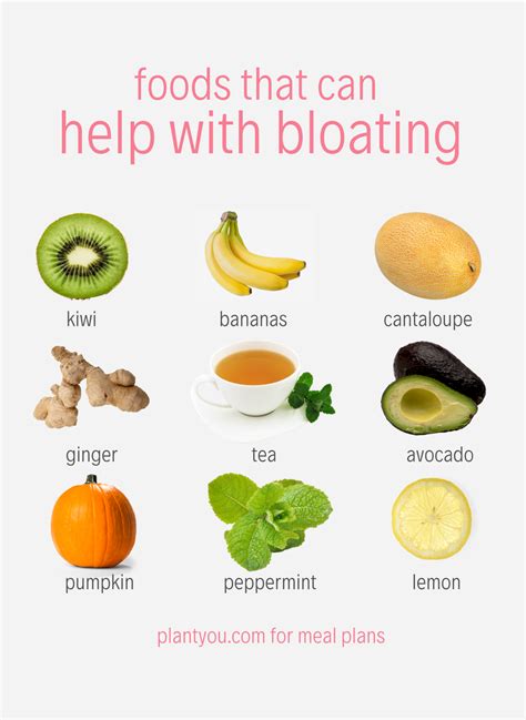 Did You Know Food Can Help With Bloat These Foods Are Our Favourites