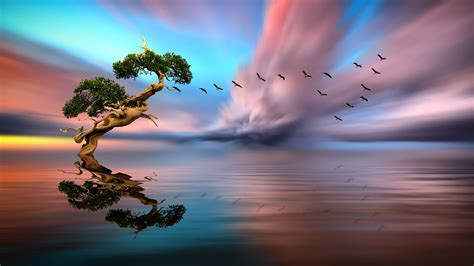 Lone Tree Reflected In Lake By Nasser Osman