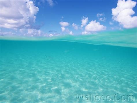Turquoise Sea In Okinawa Wallpaper Turquoise Blue Water Under Blue