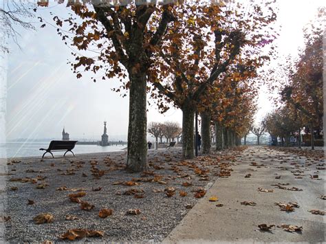 Lake constance is rightly one of the most popular holiday destinations in germany, which is visited by many holidaymakers every year. Konstanz|Lake of constance|Germany Location: Stadtpark # ...