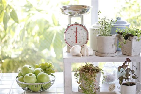 How To Build The Perfect Mini Herb Garden Bigbasket Lifestyle Blog