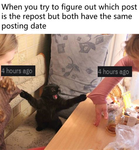 When You Try To Figoure Out Which Post Is The Repost But Both Have The