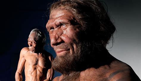 Earliest Evidence Of Modern Humans Breeding With Neanderthals Natural History Museum