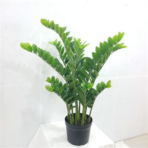 China Indoor Decoration Plants Artificial Plant Tree Bonsai Money Tree