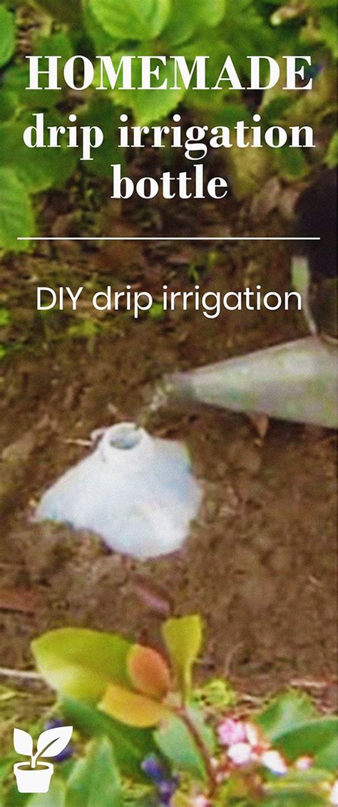 3 Ways To Make A Homemade Drip Irrigation Bottle From A Plastic Bottle