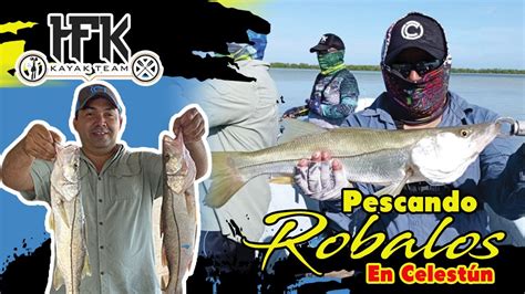 Pesca De Robalos Snook Fishing En Celestún Yucatán Con El Cap Kino