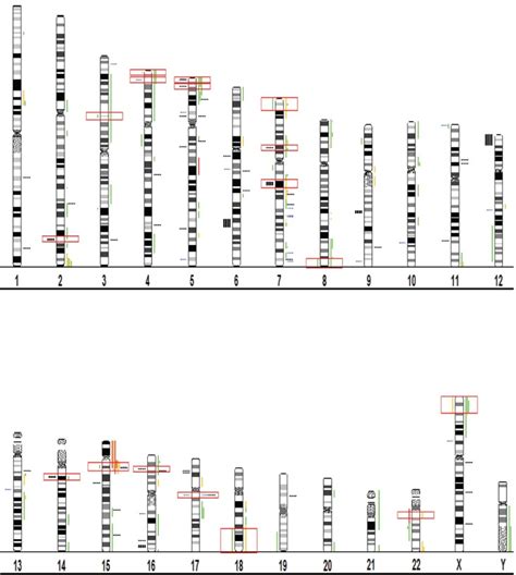 The Genetic Overlap Of Adhd And Asd Notes This Figure Shows 24 Human