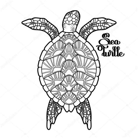 1200x900 realistic hawksbill sea turtle coloring page free printable. Sea Turtles Drawing at GetDrawings | Free download