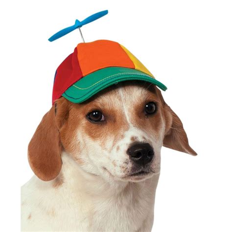Rubies Propeller Hat Dog Costume Baxterboo