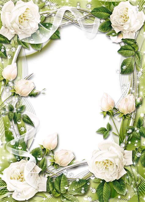 Green Transparent Png Photo Frame With White Roses