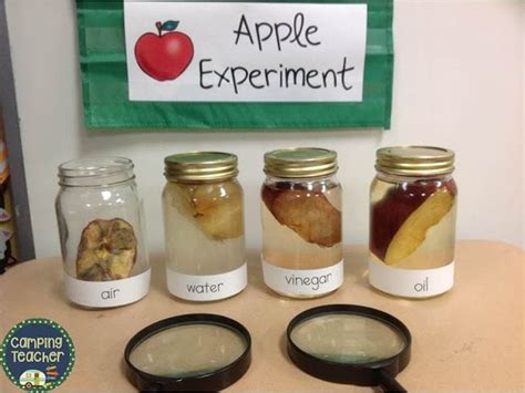 30 Fabulous First Grade Science Experiments And Projects To Try