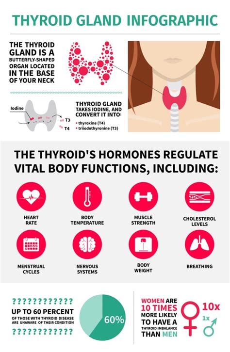 Understanding Thyroid Health