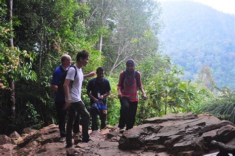 National Park In Kuala Lumpur Thelisttravel