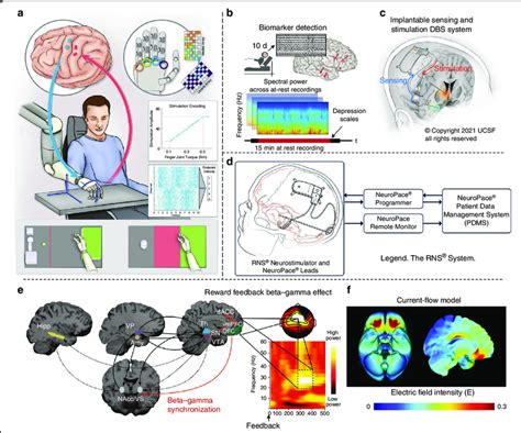Neural Electrical Activity Recording Is Applied To Neuromodulation A
