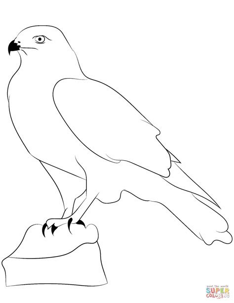 Falcon Outline Coloring Page Free Printable Coloring Pages