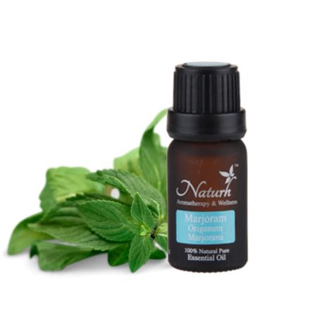 Parchem fine and specialty chemicals is a leading supplier of essential oils. Marjoram 10ml Premium Essential Oil Malaysia, Selangor ...