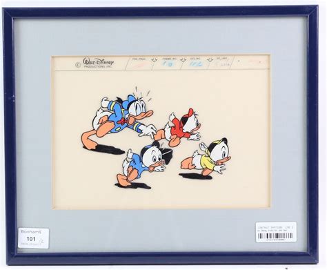 Walt Disney Two Cels Of Donald Duck With Huey Louie Dewey Artwork On