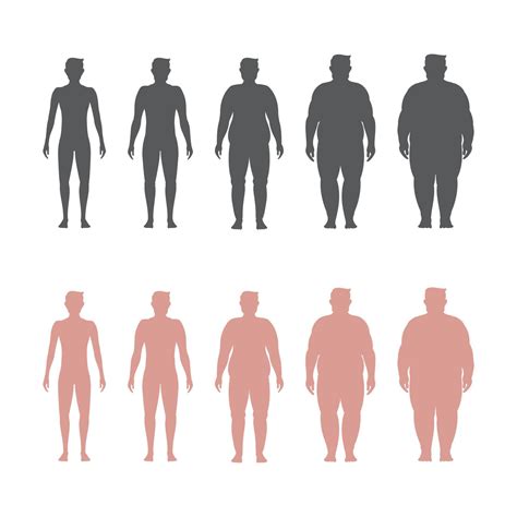 Body Mass Index Vector Illustration Vector Art At Vecteezy