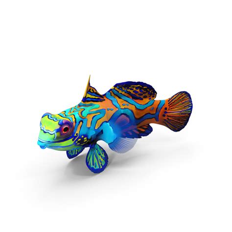 Mandarin Fish Png Images And Psds For Download Pixelsquid S111228170