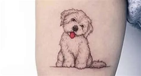 10 Adorable Bichon Frise Tattoos That Will Melt Your Heart Pet Reader