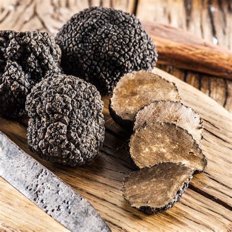 We investigate the different types of truffle, where to find them and how to use them in delicious recipes. Taste of Magic Mushrooms - Trufflemagic - Fresh Truffles ...