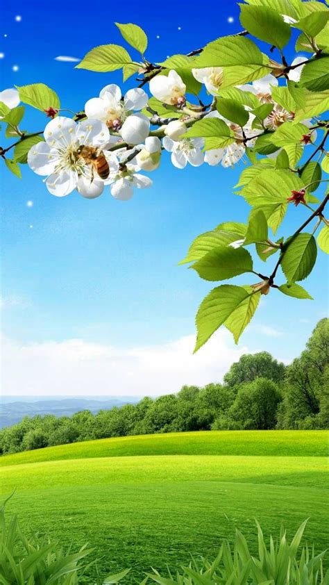 Download Spring Background Wallpaper By Immehta Cd Free On Zedge