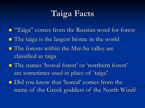 PPT TAIGA The Boreal Forest PowerPoint Presentation ID 5533053