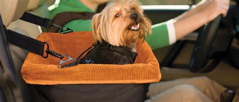 De Beste Autostoelen Voor Honden Allemaalbeestjes Reviews