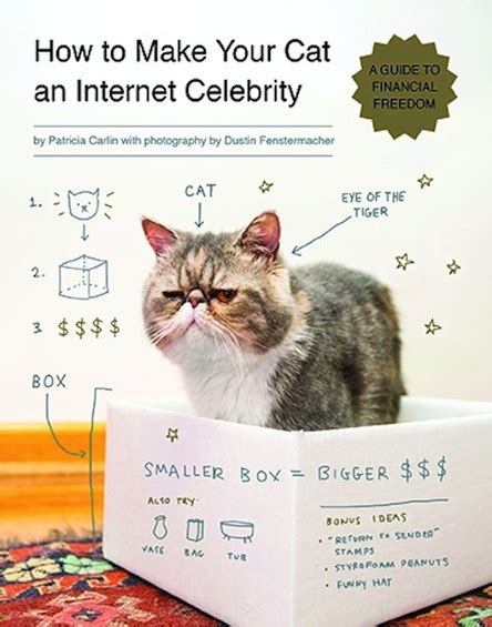It is in their nature to expect a clean litter and they might use something else if if you want to make your cat happy, give it plenty of space to roam. How to Make Your Cat an Internet Celebrity: Surprise: This ...