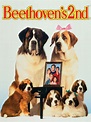 Beethoven's 2nd - Movie Reviews