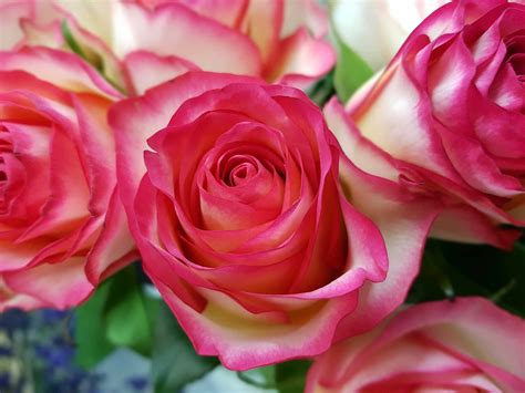 Browse the most recent harrisburg, pennsylvania obituaries and condolences. Shop | Flowers of Marietta