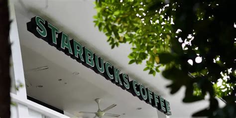 Starbuck Cold Buster Everything You Need To Know Fresh Coffee House