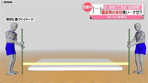 We did not find results for: 走り高跳びの授業で児童が失明 園芸用の支柱を代用品として ...