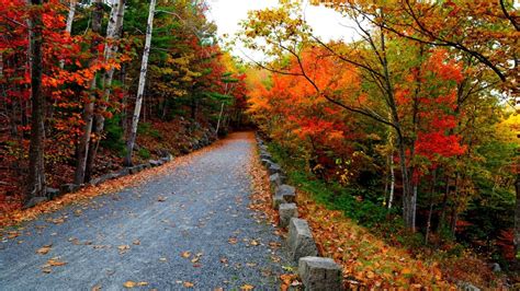 63 New England Fall Wallpaper On Wallpapersafari