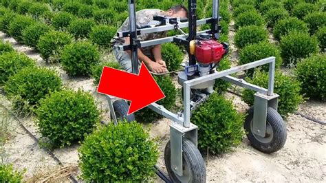 This Machine Can Trim Bushes Into Perfect Spheres In Seconds Youtube