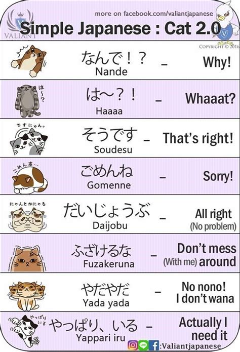 Learn Simple Japanese With Funny Cartoons Japanese Phrases Basic