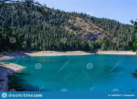 Turquoise Water Of The Lake Pine Forest And Mountains Stunning
