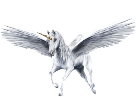 🔥 Download An Beautiful White Winged Unicorn Unicorns Fan Art By