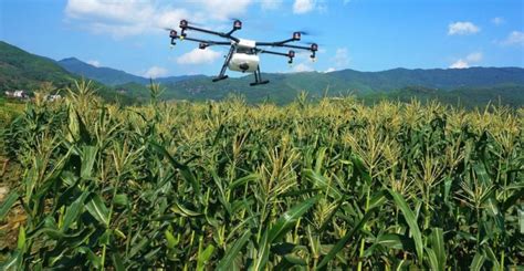 Dji Agras T Agriculture Drone Ready To Fly Kit Up Drones Lupon Gov Ph