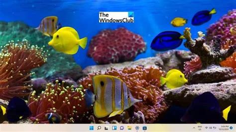 从 Microsoft Store 下载的最佳免费 Windows 11 主题和皮肤 云东方