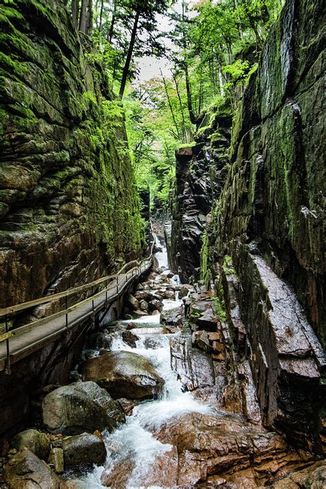 The Flume Gorge Walkway Photograph By Bill Lachenal Fine Art America