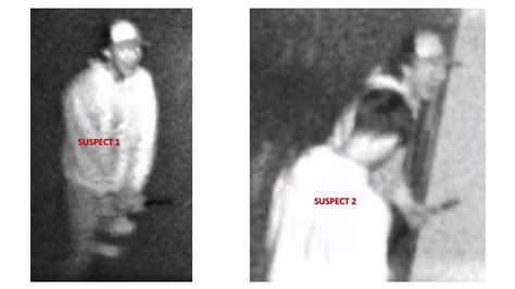 Help Solve A Crime | Felony Criminal Mischief, New Port Richey - Pasco