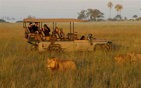 The Worlds Best Safari Outfitters