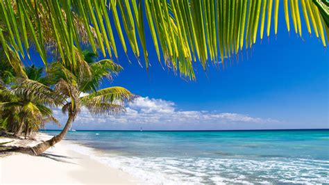 Bing Wallpaper Caribbean Beaches