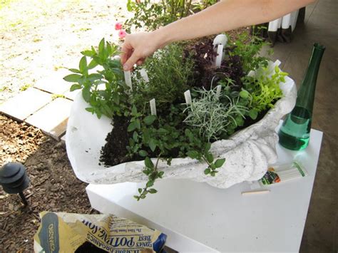 Create A Stunning Herb Container Garden Hgtv