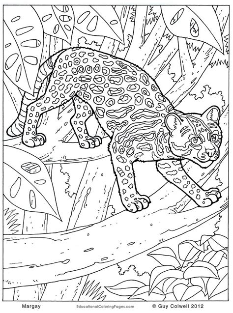 Animal Pattern Colouring Pages At Free Printable