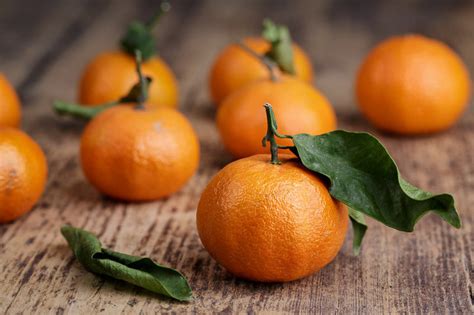 Citrus Clementina Clementine